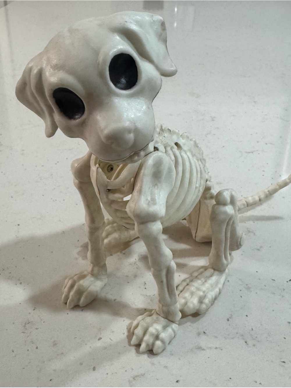 Puppy Dog Skeleton Halloween Bones Skull Zombie Model Anatomy Sitting Prop